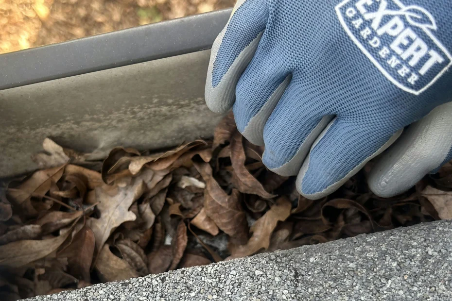 Gutter Cleaning Tallmadge